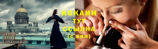 винт Новодвинск