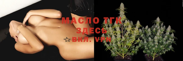 дживик Новозыбков