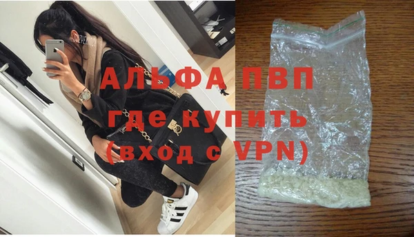 дживик Новозыбков